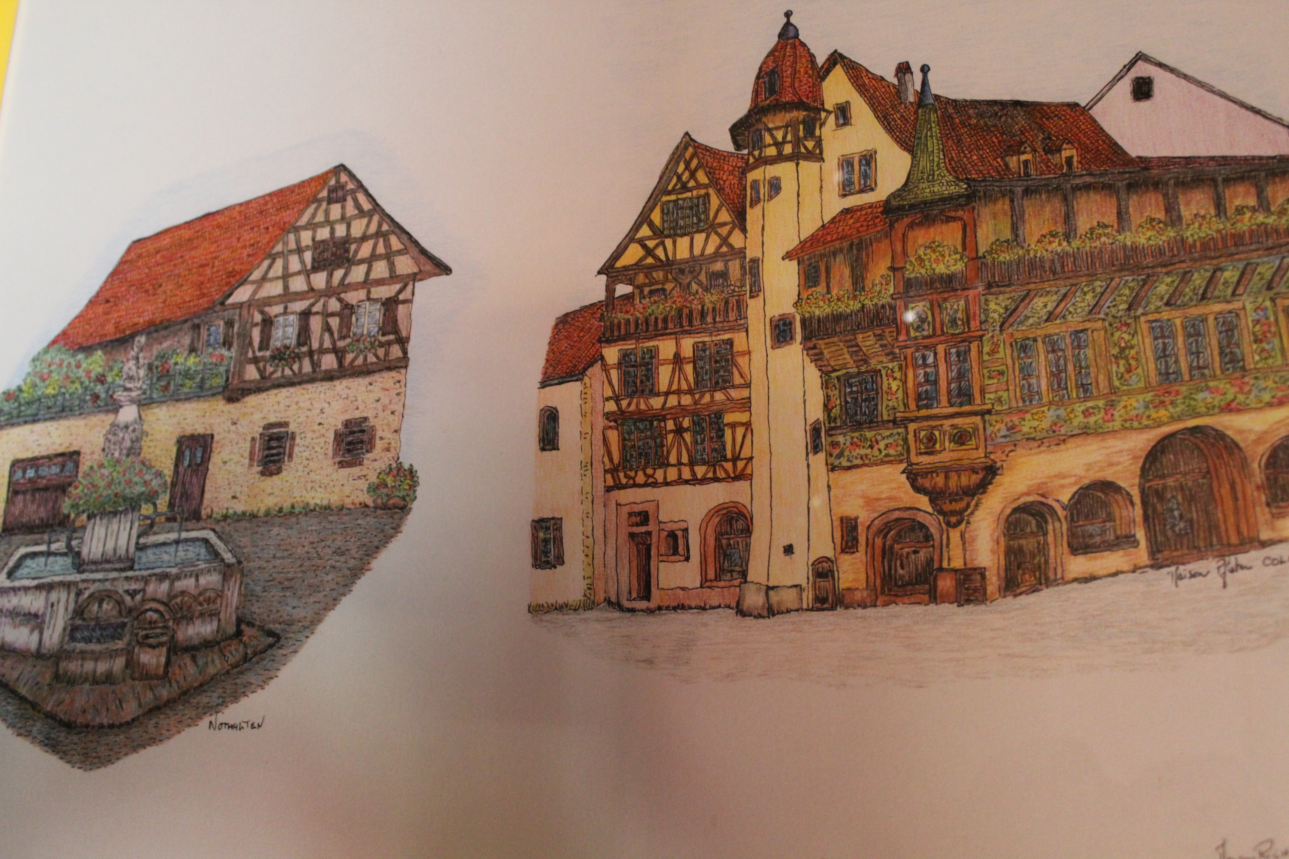 Œuvre encre de Chine série Nature 50x70cm