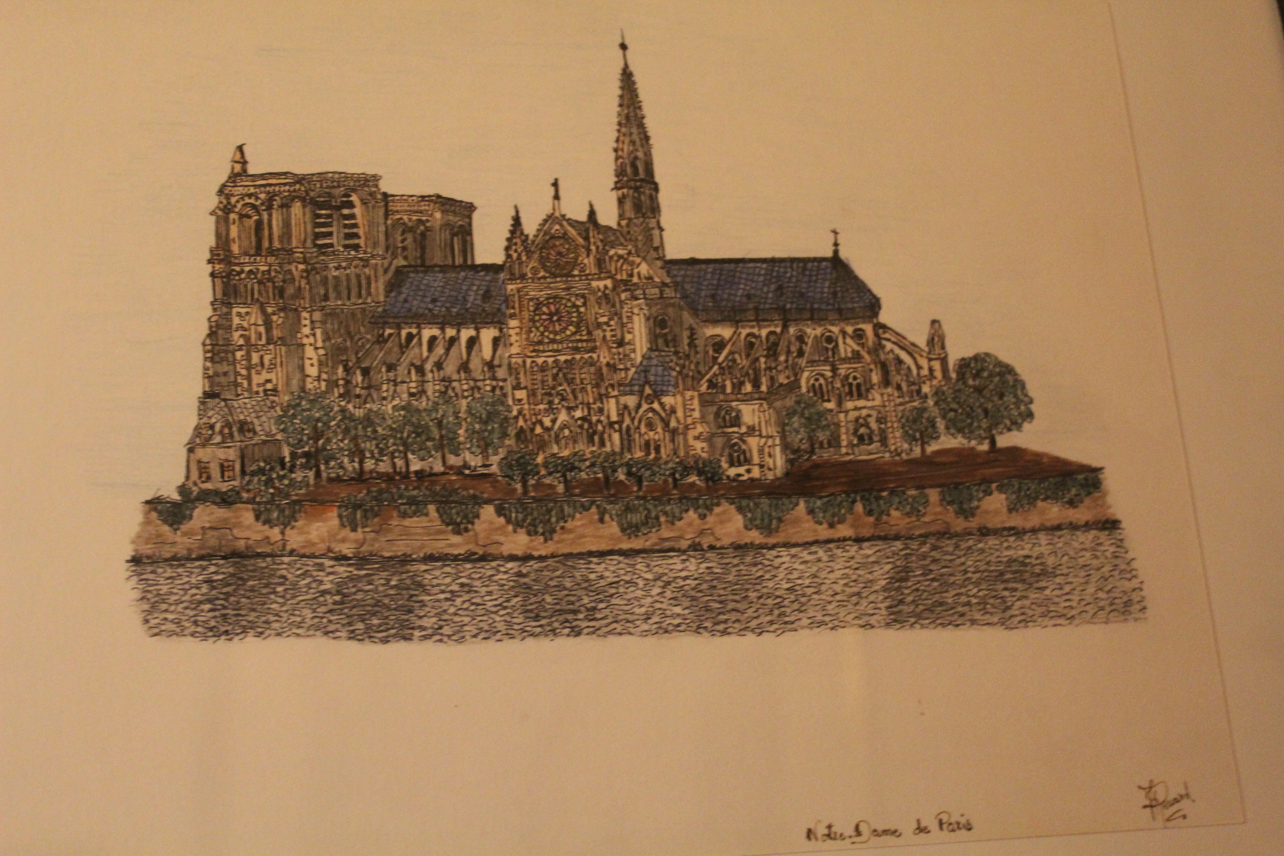 Œuvre encre de Chine série Nature 50x70cm