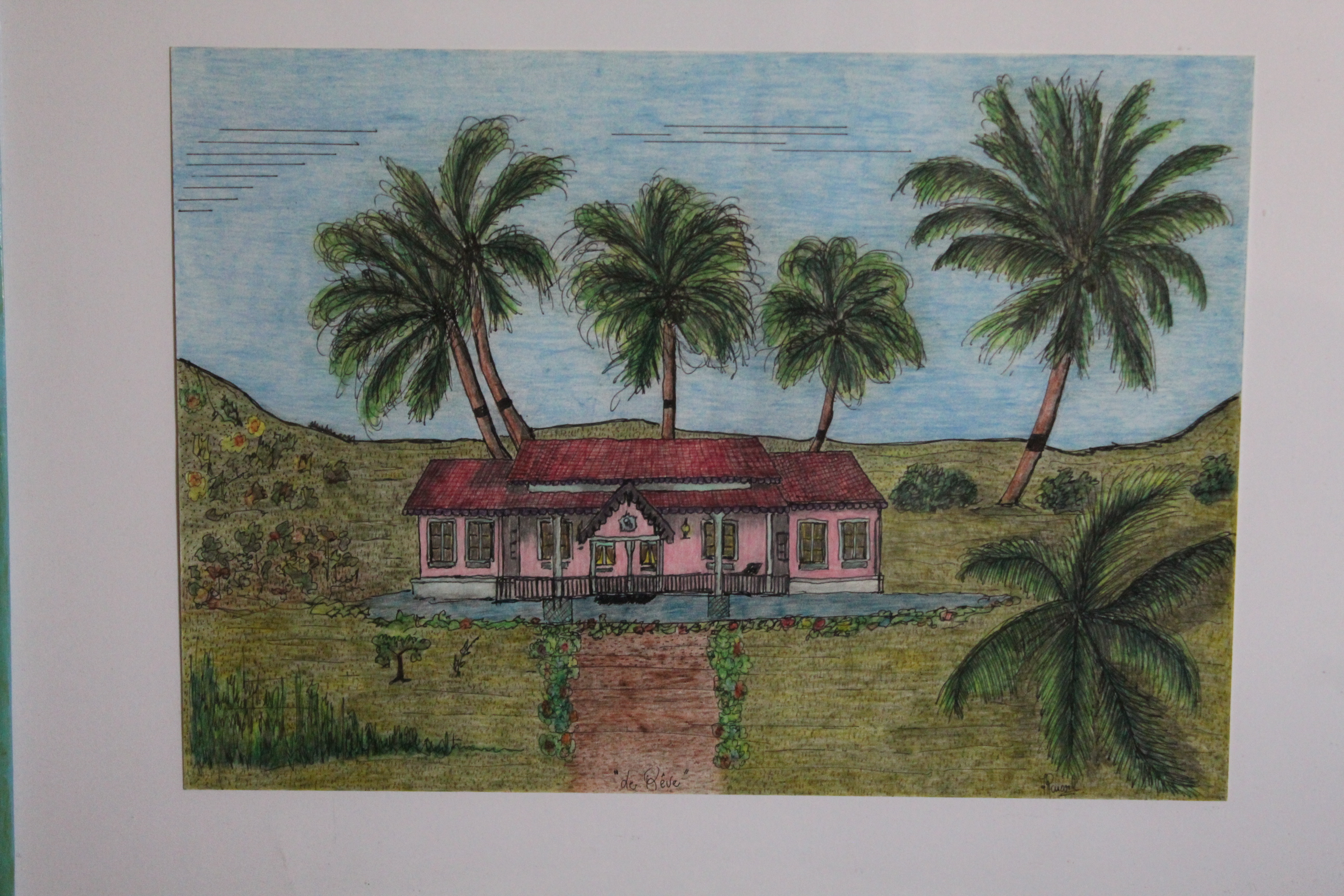 Œuvre encre de Chine série Nature 50x70cm