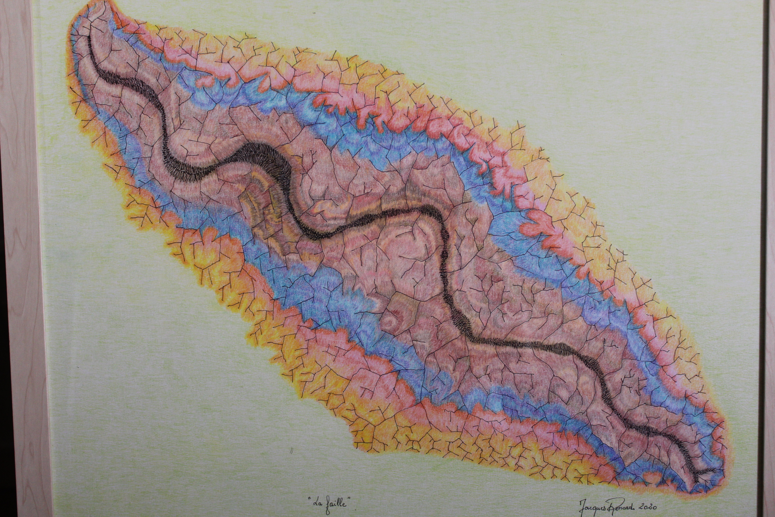 Œuvre encre de Chine série Nature 50x70cm